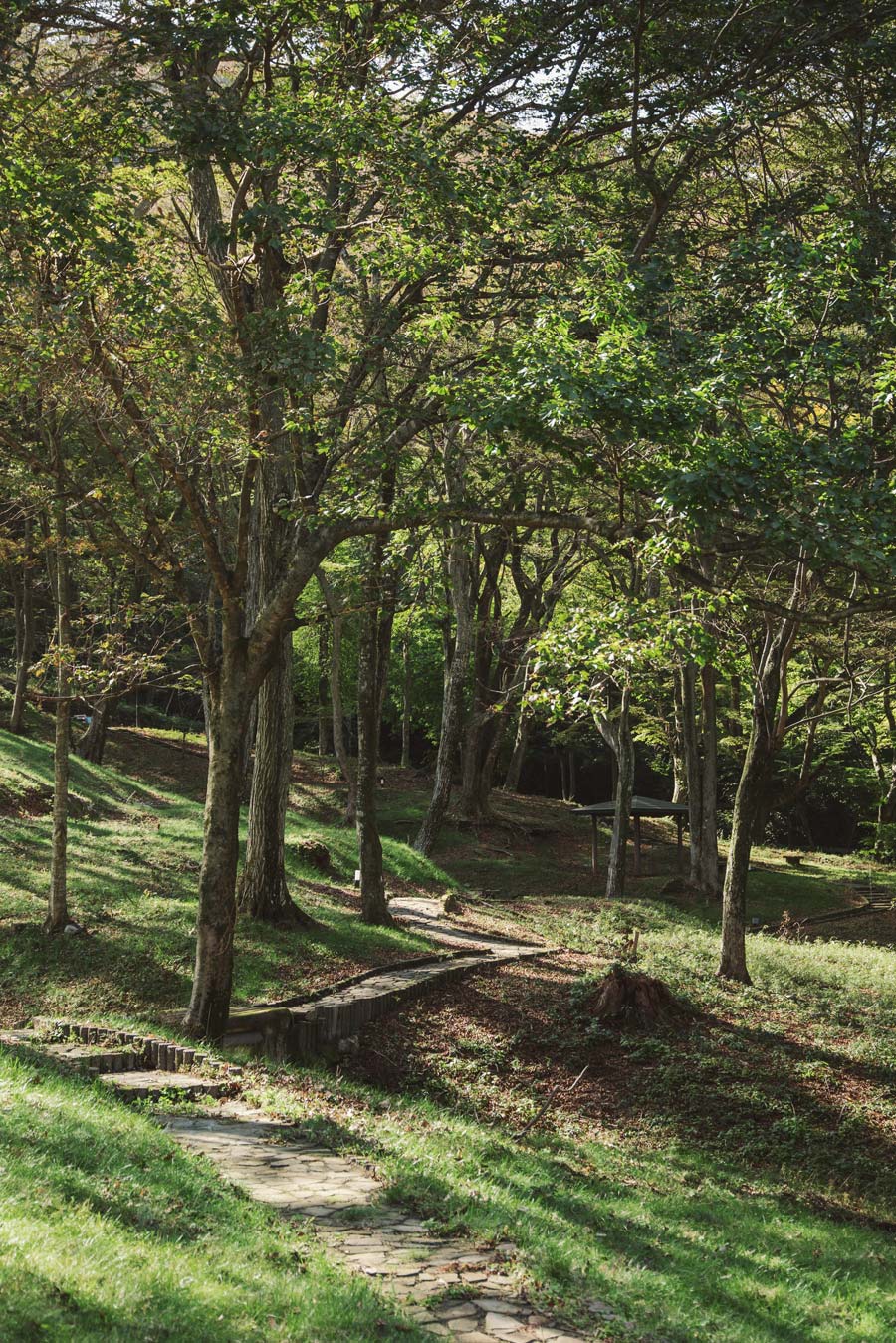 フォレストテラス