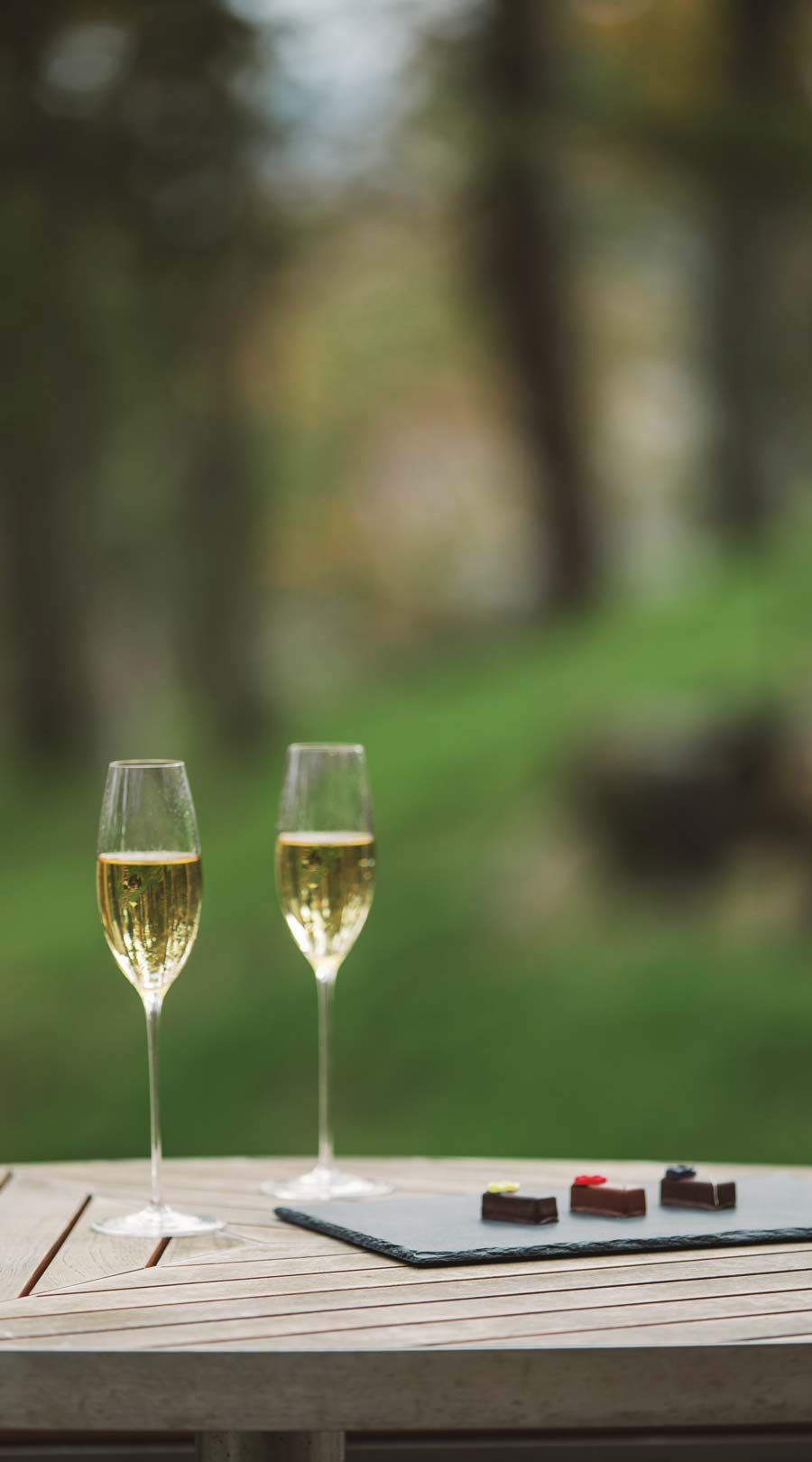 フォレストテラス