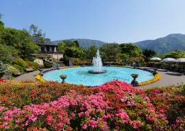 HAKONE GORA PARK