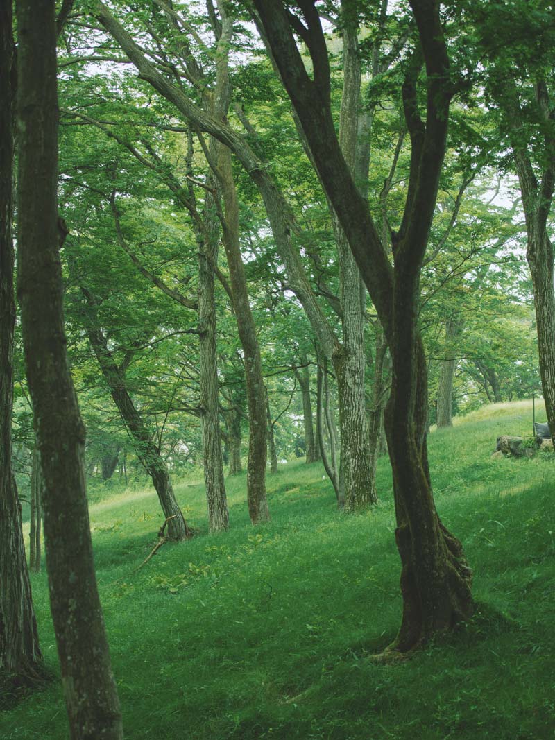 The “ Villa in the woods” beloved by John Kanaya