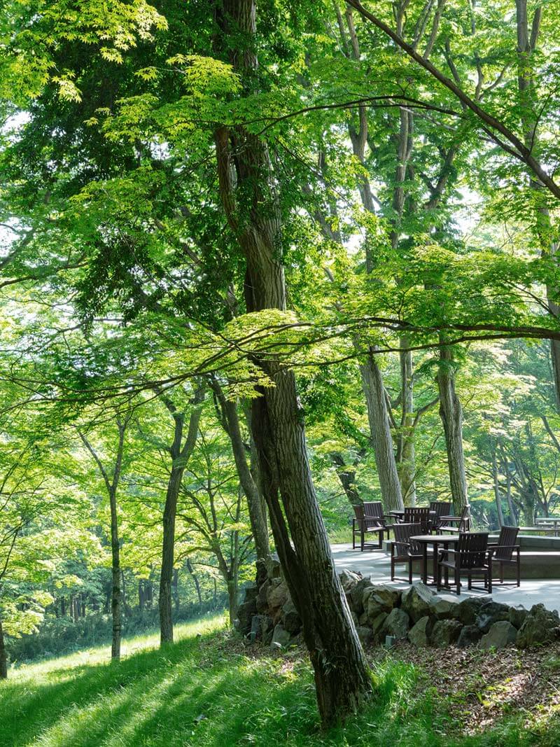 The “ Villa in the woods” beloved by John Kanaya